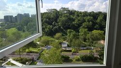 Blk 450D West Terra @ Bukit Batok (Bukit Batok), HDB 2 Rooms #586362461